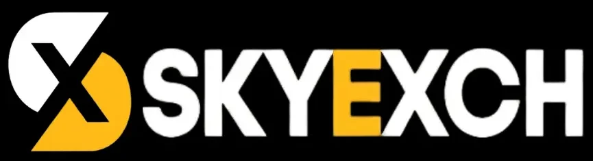 skyinplay logo